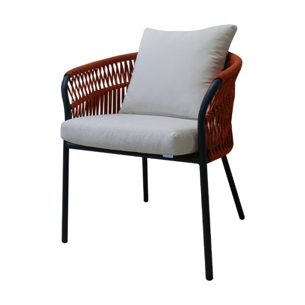 Cesar Design 2